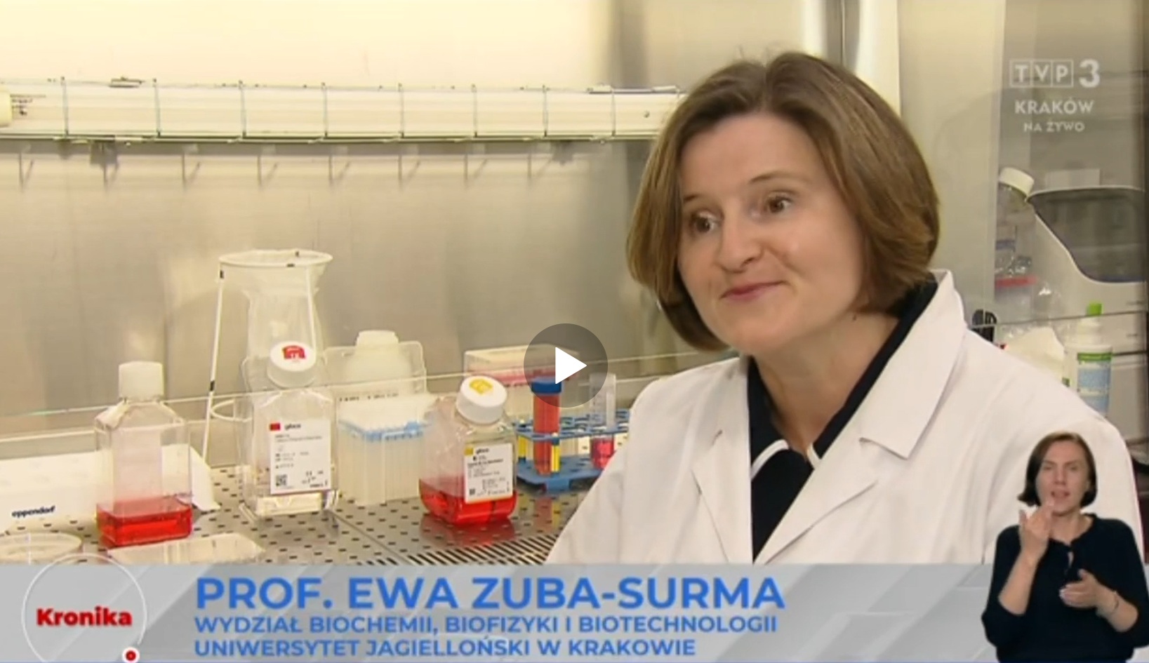 Kadr z programu informacyjnego TVP3 Kraków. W laboratorium siedzi kobieta w białym fartuchu laboratoryjnym, obok niej na blacie stoją butelki i naczynia z czerwonym i przezroczystym płynem. Na ekranie znajduje się podpis: ‘PROF. EWA ZUBA-SURMA, WYDZIAŁ BIOCHEMII, BIOFIZYKI I BIOTECHNOLOGII, UNIWERSYTET JAGIELLOŃSKI W KRAKOWIE’. W prawym dolnym rogu widać tłumaczkę języka migowego