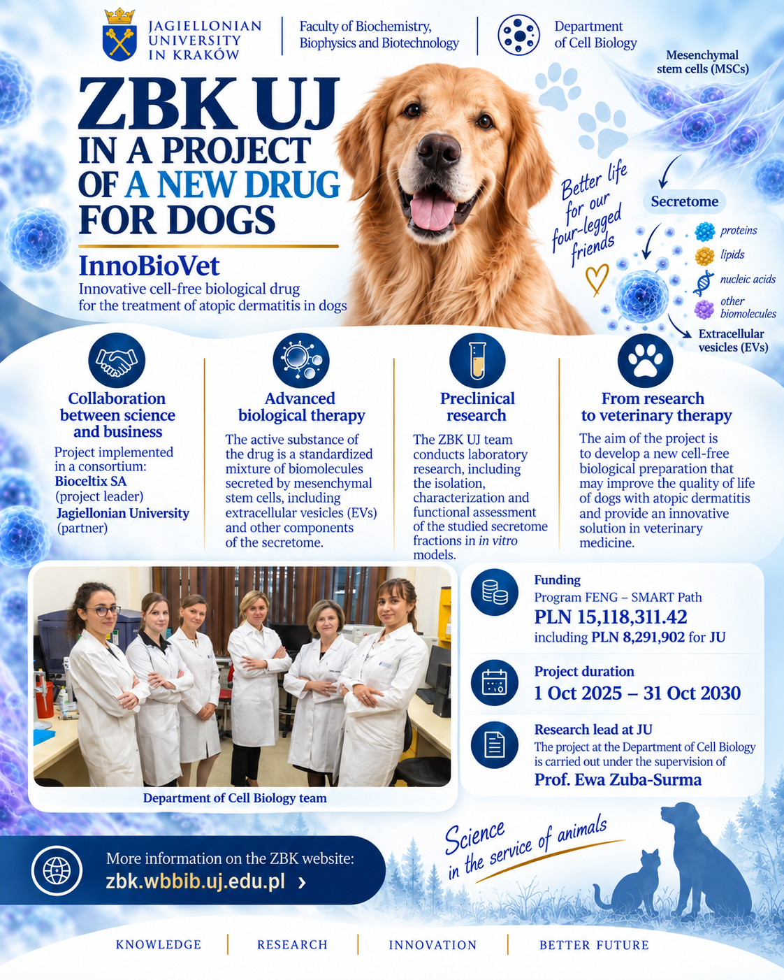 Infographic presenting the InnoBioVet project involving the Department of Cell Biology at Jagiellonian University and Bioceltix SA. The graphic features a golden retriever, stem cell and extracellular vesicle imagery, information on a novel cell-free biological therapy for canine atopic dermatitis, project funding and duration, and a photograph of the Department of Cell Biology research team. The Jagiellonian University research activities are carried out under the supervision of Prof. Ewa Zuba-Surma.