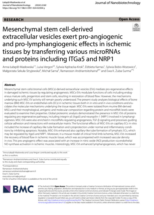 Mesenchymal stem cell‑derived extracellular vesicles exert pro‑angiogenic and pro‑lymphangiogenic effects in ischemic tissues by transferring various microRNAs and proteins including ITGa5 and NRP1
